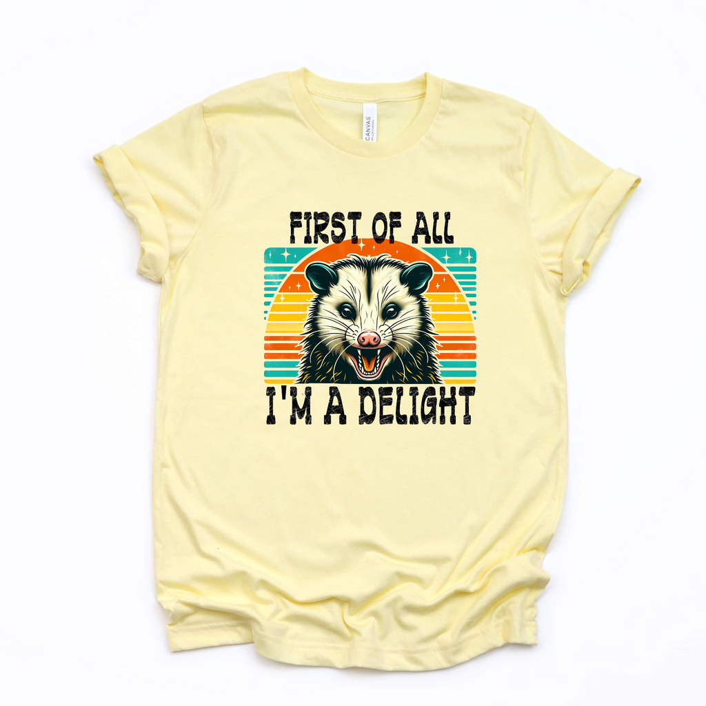I'm a delight Graphic Tee - Heather Dust Tee